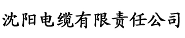 色猫咪AV在线网址电缆厂logo